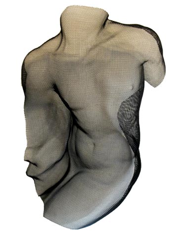 Seated Male Torso