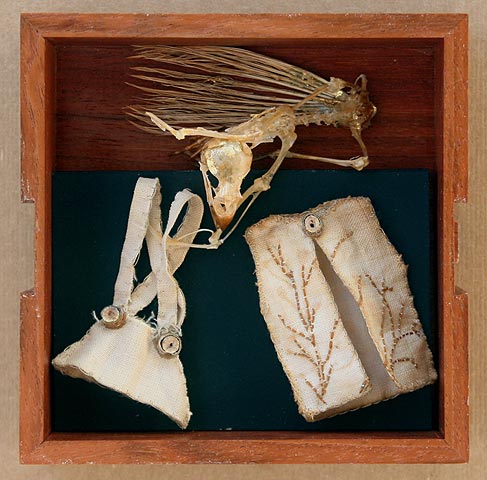 Bird in a Box, Undressed