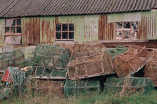 Lobster Traps 002